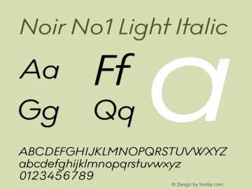 Noir No1 Light Italic Version 0.009;PS 000.009;hotconv 1.0.88;makeotf.lib2.5.64775图片样张