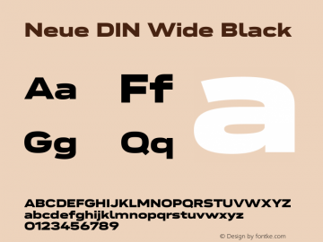 Neue DIN Wide Black Version 1.00图片样张