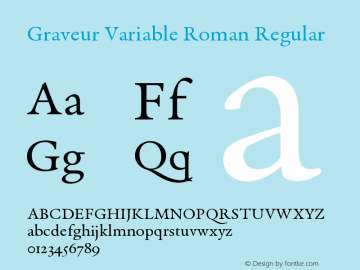 Graveur Variable Roman Version 1.005;FEAKit 1.0图片样张