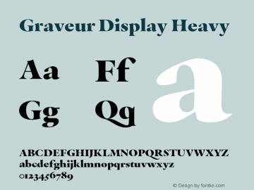 Graveur Display Heavy Version 1.005;FEAKit 1.0图片样张