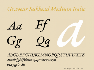 Graveur Subhead Medium Italic Version 1.005;FEAKit 1.0图片样张