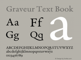 Graveur Text Book Version 1.005;FEAKit 1.0图片样张