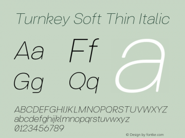 Turnkey Soft Thin Italic Version 1.000;FEAKit 1.0图片样张