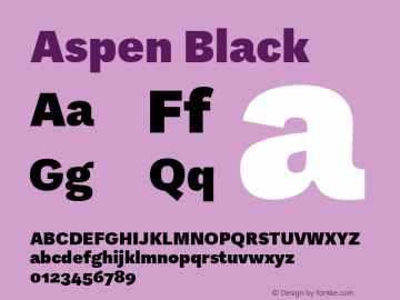 Aspen Black Version 1.002图片样张