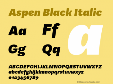 Aspen Black Italic Version 1.002图片样张