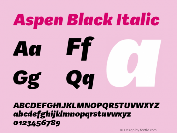 Aspen Black Italic Version 1.002图片样张