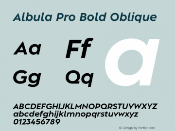 Albula Pro Bold Oblique Version 1.000;FEAKit 1.0图片样张