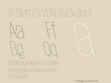 At Slam Cnd Air Backslant Version 1.000;FEAKit 1.0图片样张