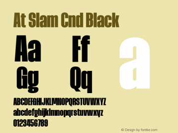 At Slam Cnd Black Version 1.000;FEAKit 1.0图片样张