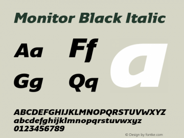Monitor Black Italic Version 3.001图片样张