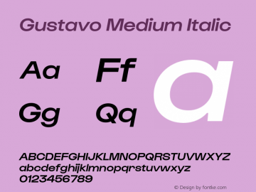 Gustavo Medium Italic Version 1.000;hotconv 1.0.109;makeotfexe 2.5.65596图片样张