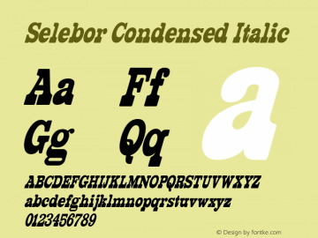 SeleborCondensed-Oblique Version 1.000图片样张