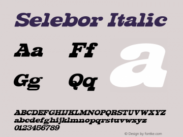 Selebor-Oblique Version 1.000图片样张