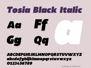 Tosia Black Italic Version 1.000;PS 001.000;hotconv 1.0.88;makeotf.lib2.5.64775图片样张