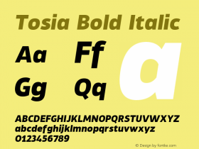 Tosia Bold Italic Version 1.000;PS 001.000;hotconv 1.0.88;makeotf.lib2.5.64775图片样张