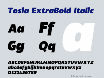 Tosia ExtraBold Italic Version 1.000;PS 001.000;hotconv 1.0.88;makeotf.lib2.5.64775图片样张