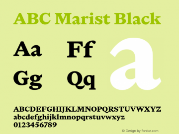 ABC Marist Black Version 1.010图片样张