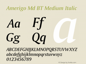 Amerigo Md BT Medium Italic Version 1.01 emb4-OT图片样张