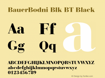 BauerBodni Blk BT Black Version 1.01 emb4-OT图片样张