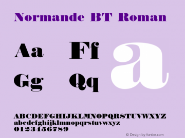 Normande BT Roman Version 1.01 emb4-OT图片样张