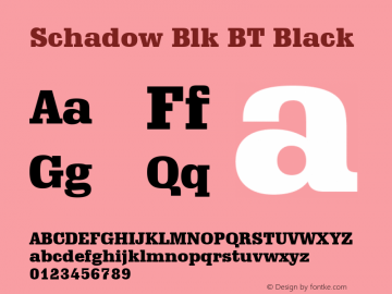 Schadow Blk BT Black Version 1.01 emb4-OT图片样张