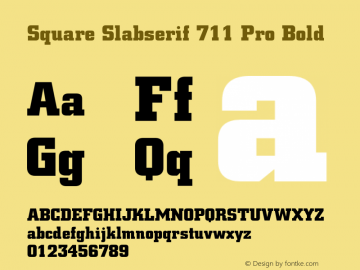 Square Slabserif 711 Pro Bd Version 1.00图片样张