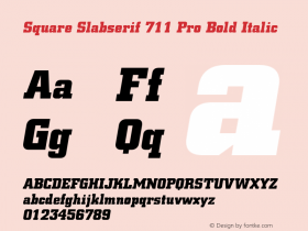 Square Slabserif 711 Pro Bd It Version 1.00图片样张