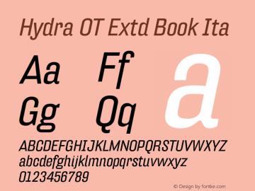 HydraOT-ExtdBookItalic Version 7.504; 2010; Build 1022图片样张