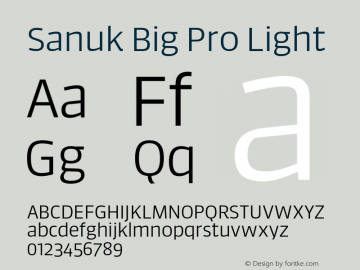 Sanuk Big Pro Light Version 7.504; 2016; Build 1024图片样张