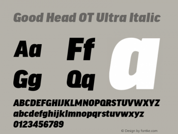 Good Head OT Ultra Italic Version 7.60图片样张