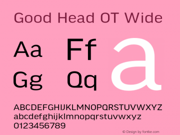 Good Head OT Wide Version 7.60图片样张