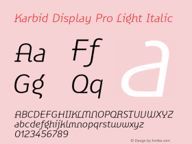 Karbid Display Pro Light Ita Version 7.60图片样张