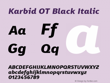 Karbid OT Black Italic Version 7.60图片样张