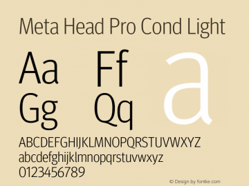 Meta Head Pro Cond Light Version 7.600, build 1027, FoPs, FL 5.04图片样张