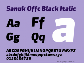 Sanuk Offc Black Italic Version 7.504; 2010; Build 1021图片样张