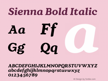 Sienna Bold Italic Version 1.100;FEAKit 1.0图片样张