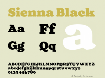 Sienna Black Version 1.100;FEAKit 1.0图片样张