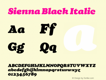 Sienna Black Italic Version 1.100;FEAKit 1.0图片样张