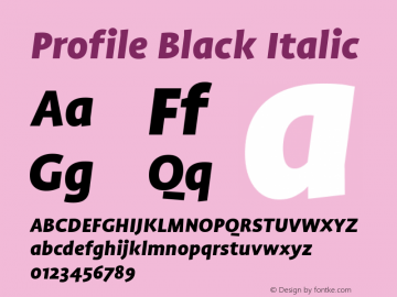 Profile Black Italic 001.000图片样张