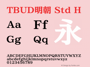 TBUD明朝 Std H 图片样张