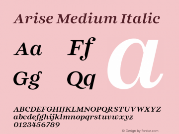 Arise Medium Italic Version 1.100;FEAKit 1.0图片样张