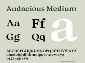 Audacious Medium Version 1.100;FEAKit 1.0图片样张