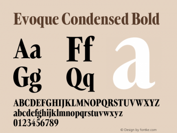 Evoque Condensed Bold Version 1.200;FEAKit 1.0图片样张