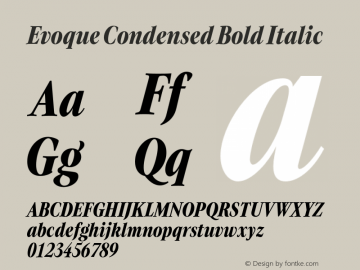 Evoque Condensed Bold Italic Version 1.200;FEAKit 1.0图片样张