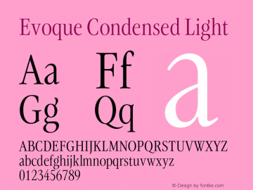 Evoque Condensed Light Version 1.200;FEAKit 1.0图片样张