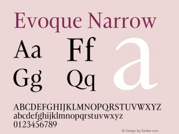 Evoque Narrow Version 1.200;FEAKit 1.0图片样张