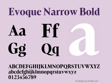 Evoque Narrow Bold Version 1.200;FEAKit 1.0图片样张
