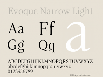 Evoque Narrow Light Version 1.200;FEAKit 1.0图片样张