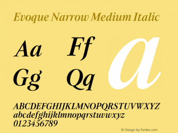 Evoque Narrow Medium Italic Version 1.200;FEAKit 1.0图片样张