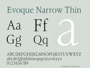 Evoque Narrow Thin Version 1.200;FEAKit 1.0图片样张